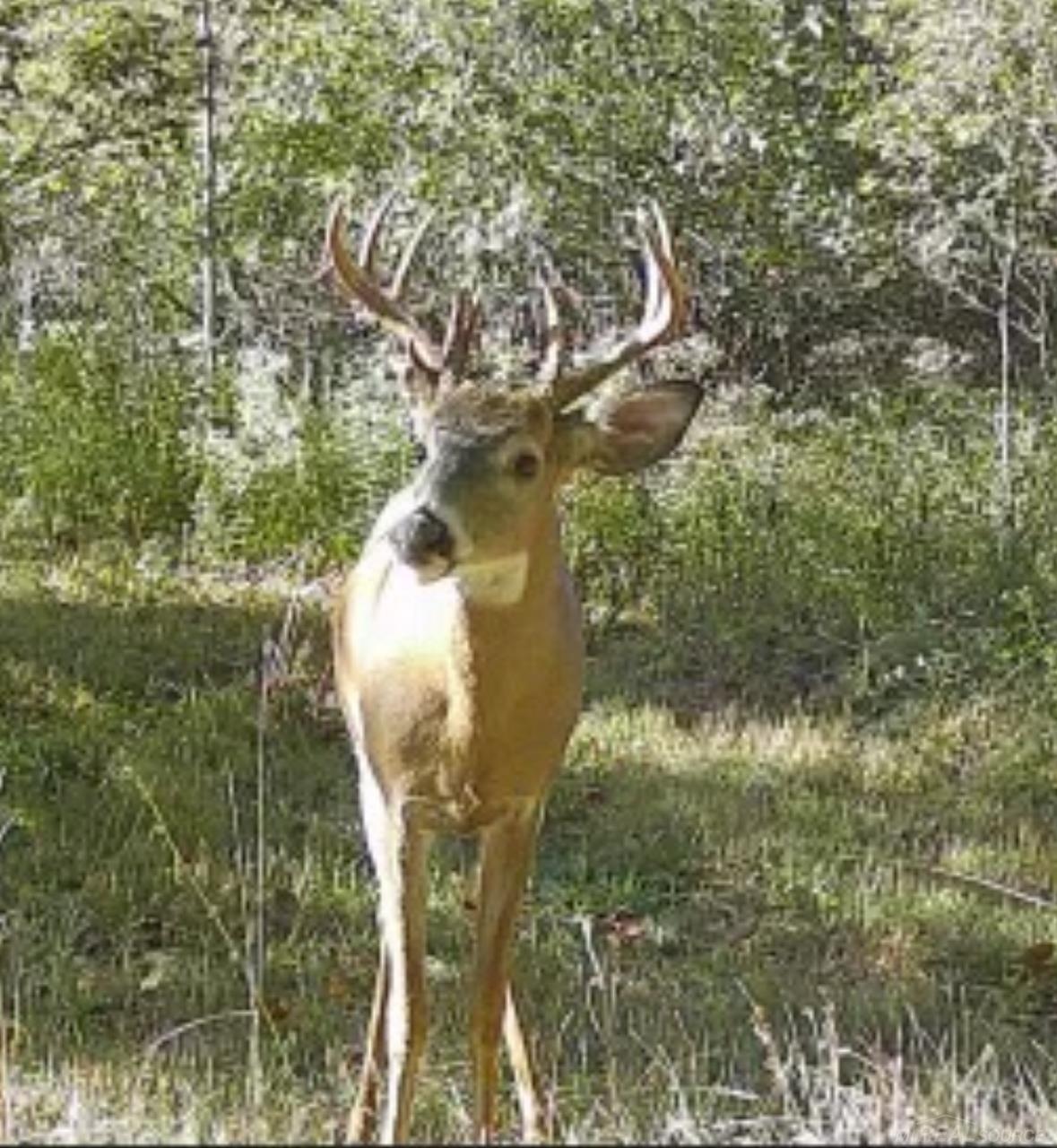 13559 Jeddo Road, Lynn, MI, 48097