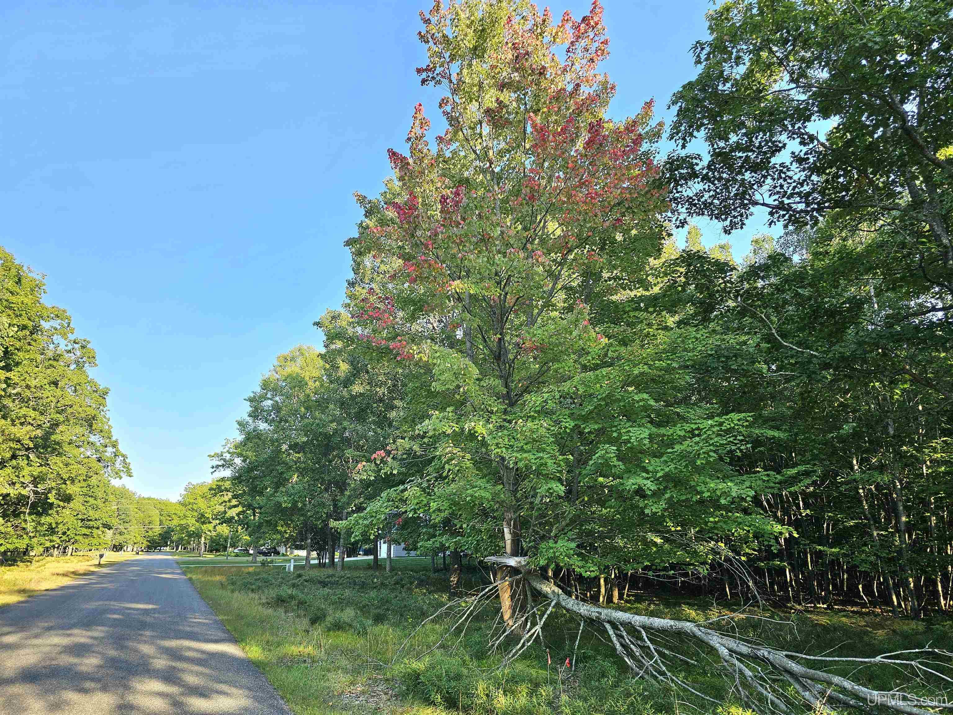 39 Royalton Drive - Real estate property