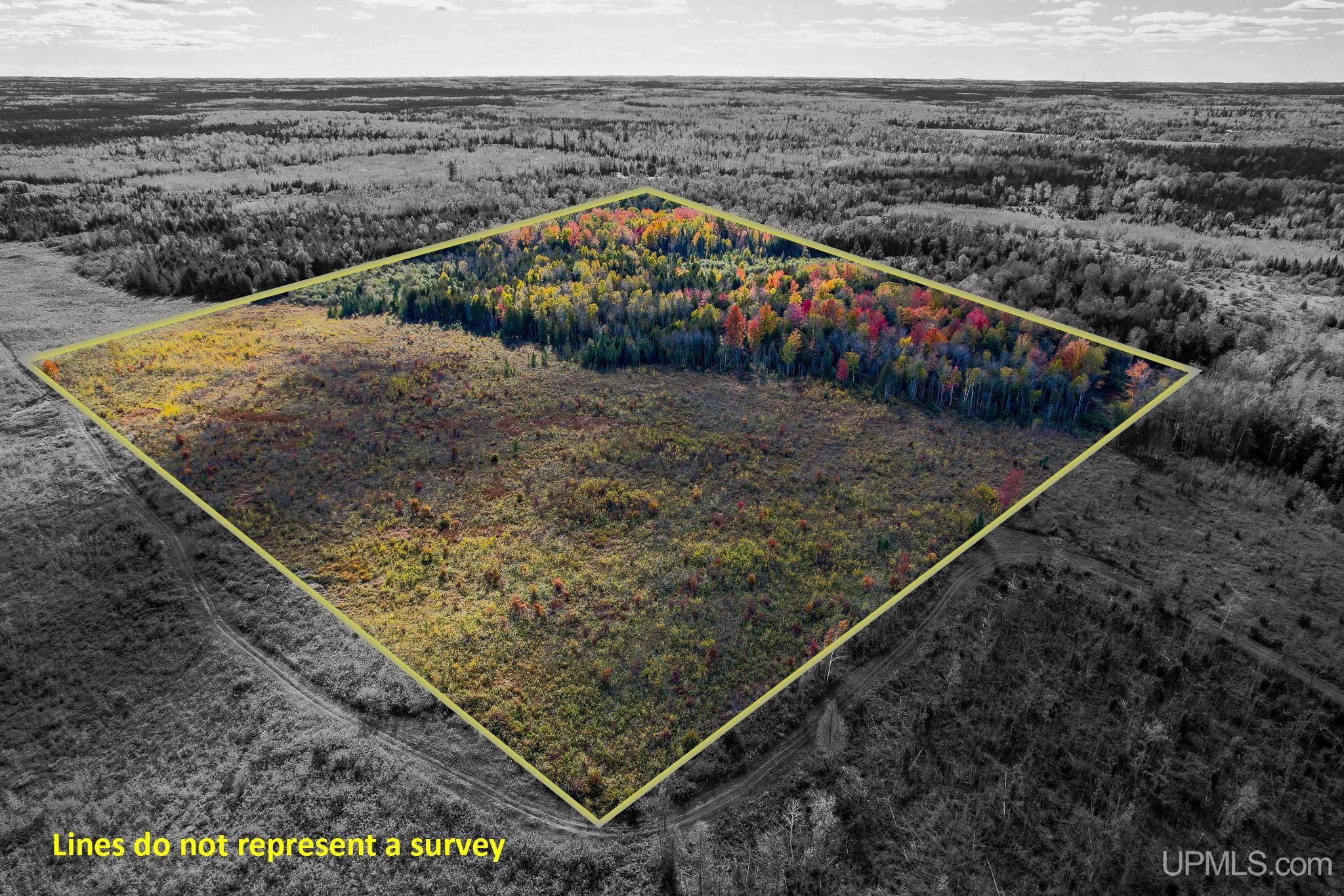 TBD Off Kingsley #3 Lane - Real estate property