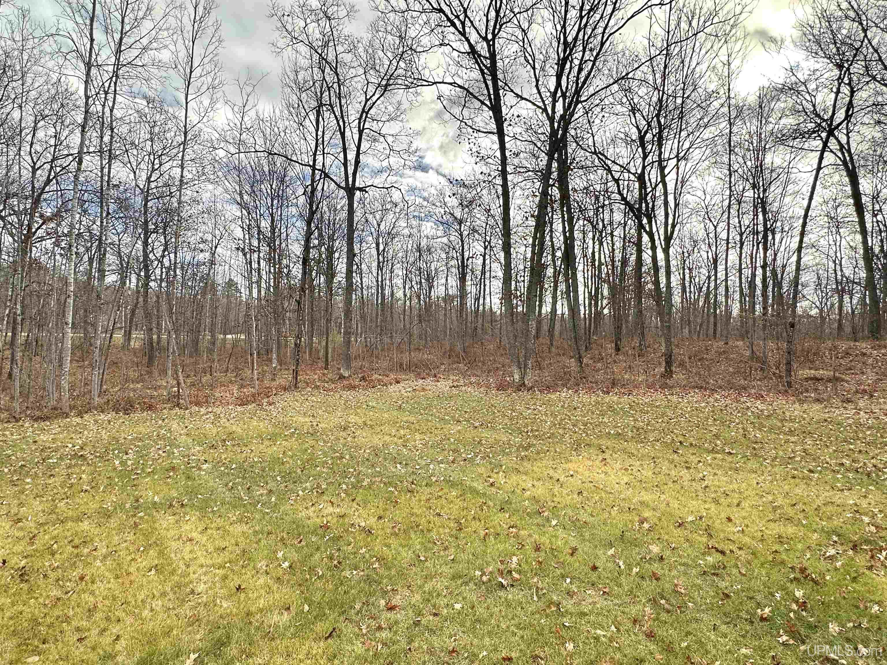 N4829 State Hwy M95 Highway