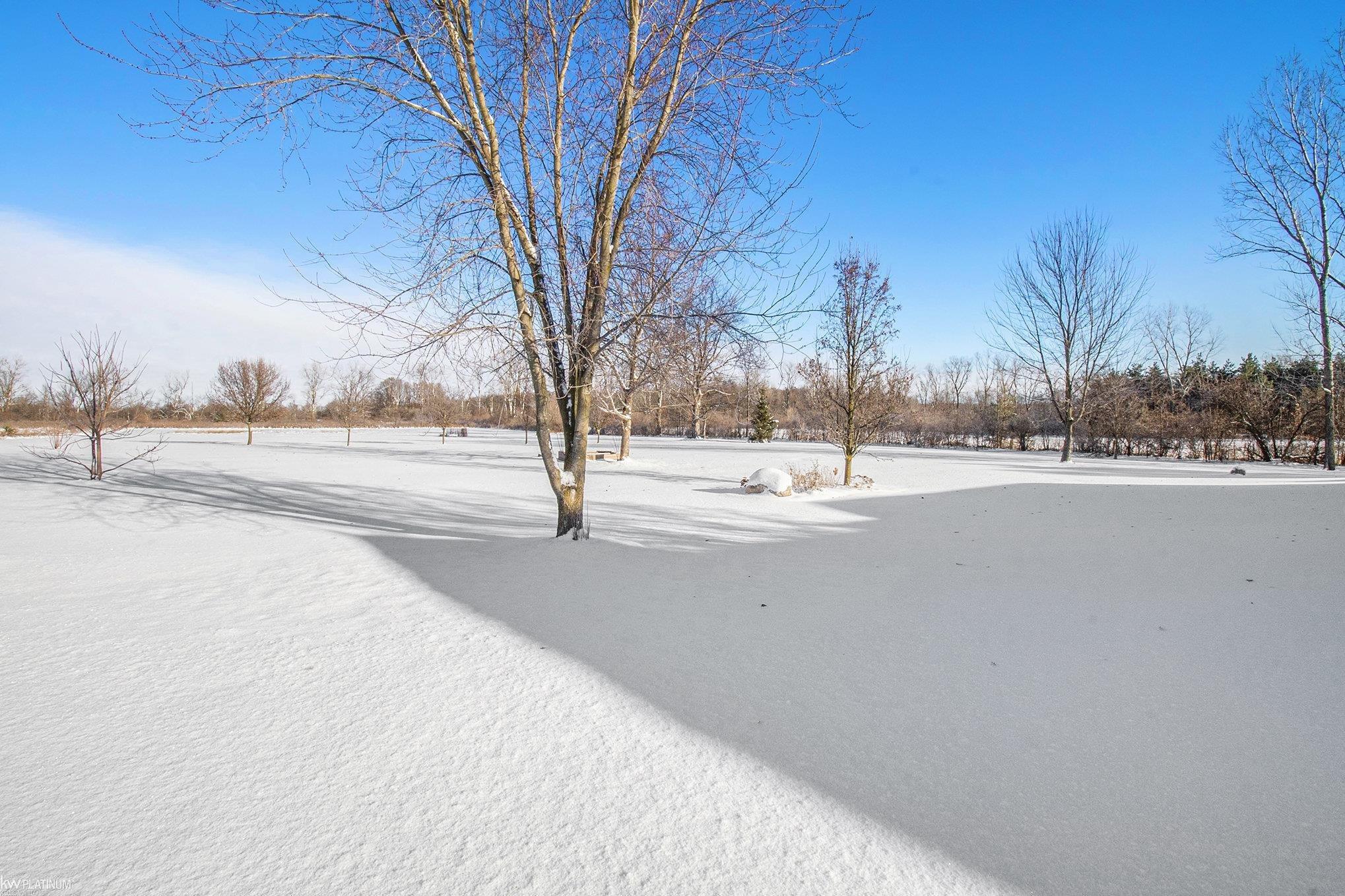 Homes for sale in Emmett Township St Clair, MI | 10630 Imlay City Rd, Emmett Township St Clair, MI 48022 | MLS# 58050196191