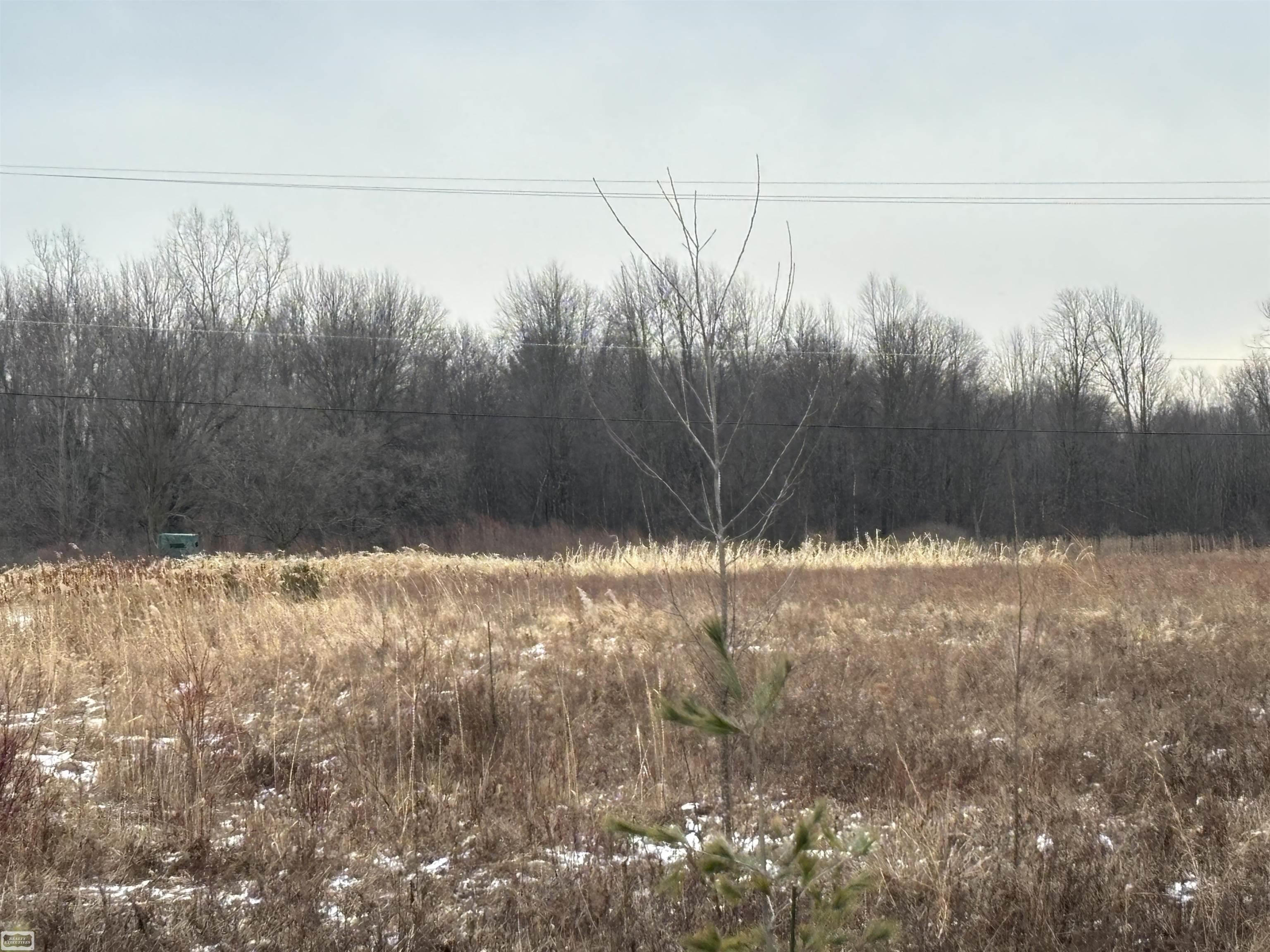 Homes for sale in Kimball, MI | Richman Rd, Kimball, MI 48074 | MLS# 50197304