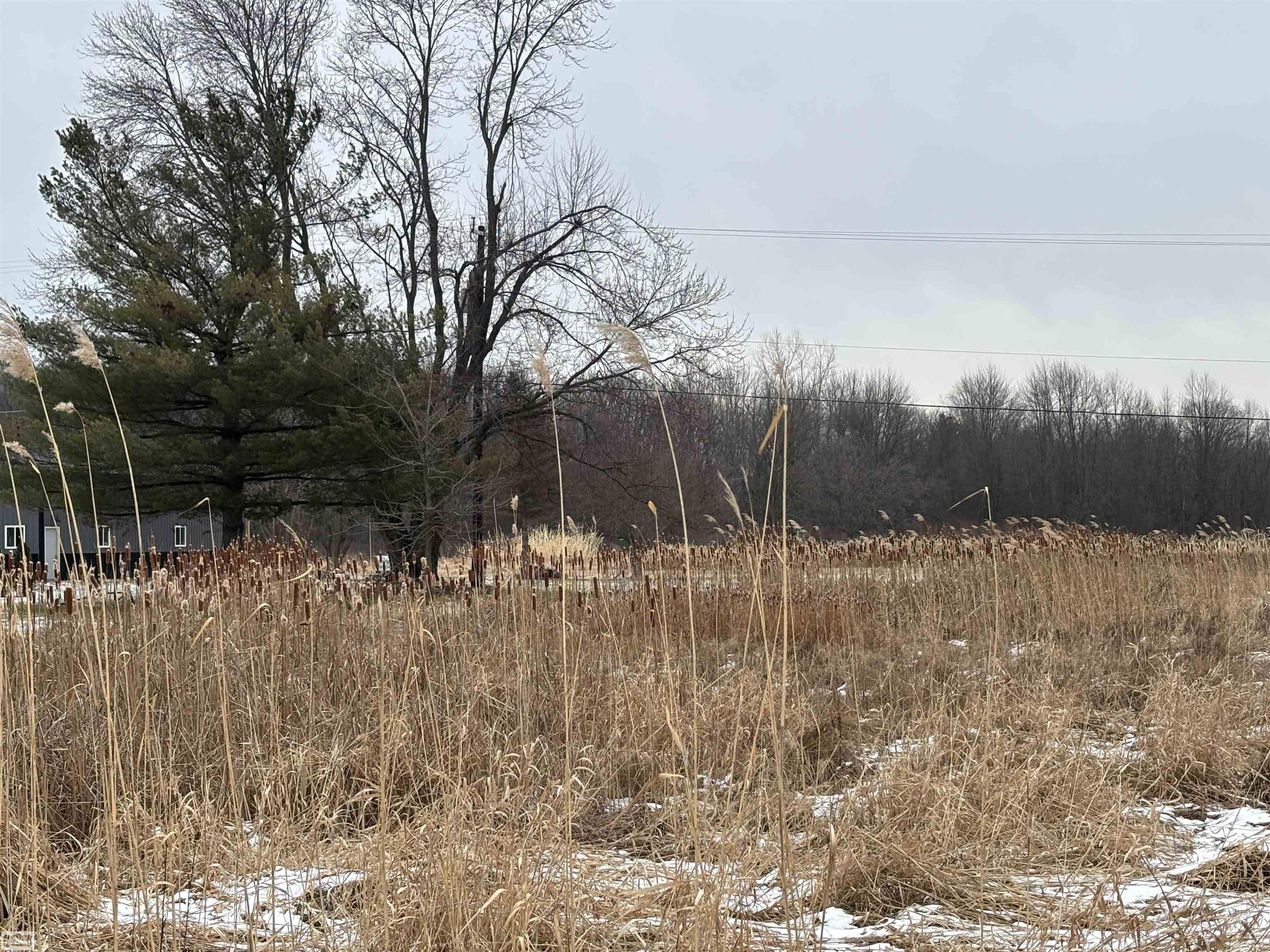 Homes for sale in Kimball, MI | Richman Rd, Kimball, MI 48074 | MLS# 50197304