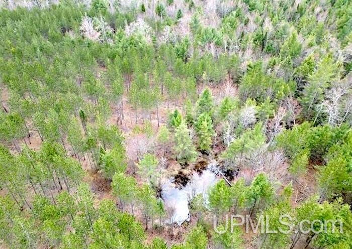 TBD Co Rd 440 Road - Real estate property