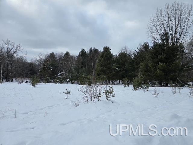 Homes for sale in Iron Mountain, MI | Tbd Fumee Lake Dr, Iron Mountain, MI 49801 | MLS# 50197340