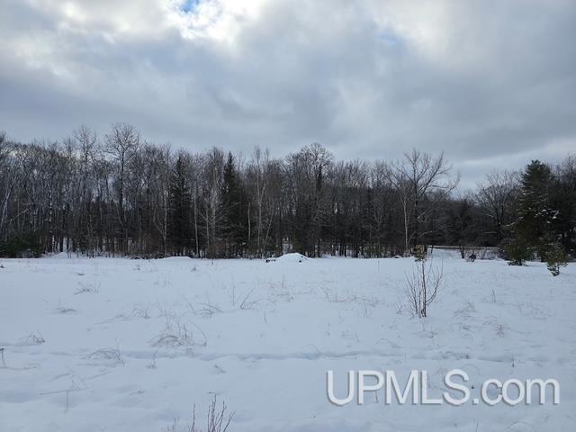 Homes for sale in Iron Mountain, MI | Tbd Fumee Lake Dr, Iron Mountain, MI 49801 | MLS# 50197340