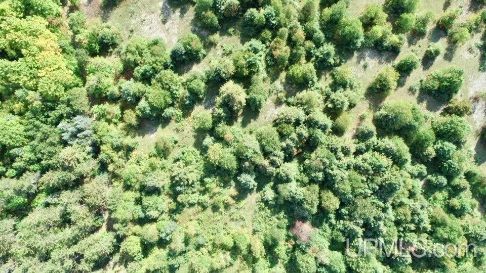 Homes for sale in Mc Millan, MI | Tbd M-28 Hwy, Mc Millan, MI 49853 | MLS# 50197379