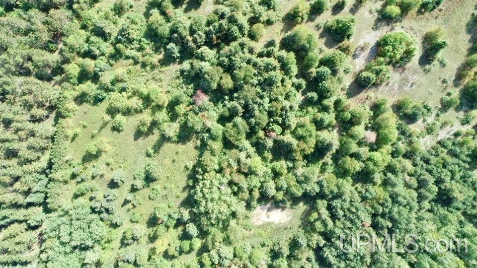 Homes for sale in Mc Millan, MI | Tbd M-28 Hwy, Mc Millan, MI 49853 | MLS# 50197379