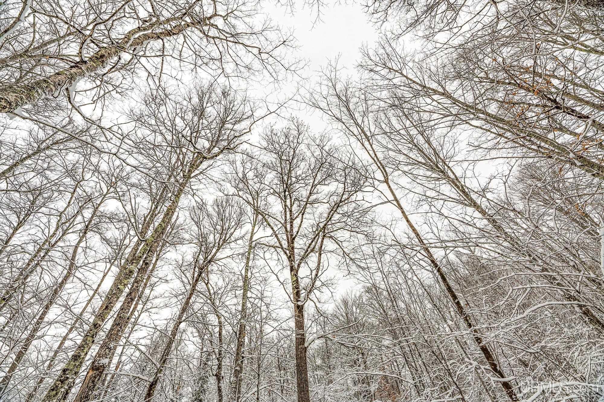 Homes for sale in Phelps, WI | On Eagles Nest Rd, Phelps, WI 54554 | MLS# 50197390