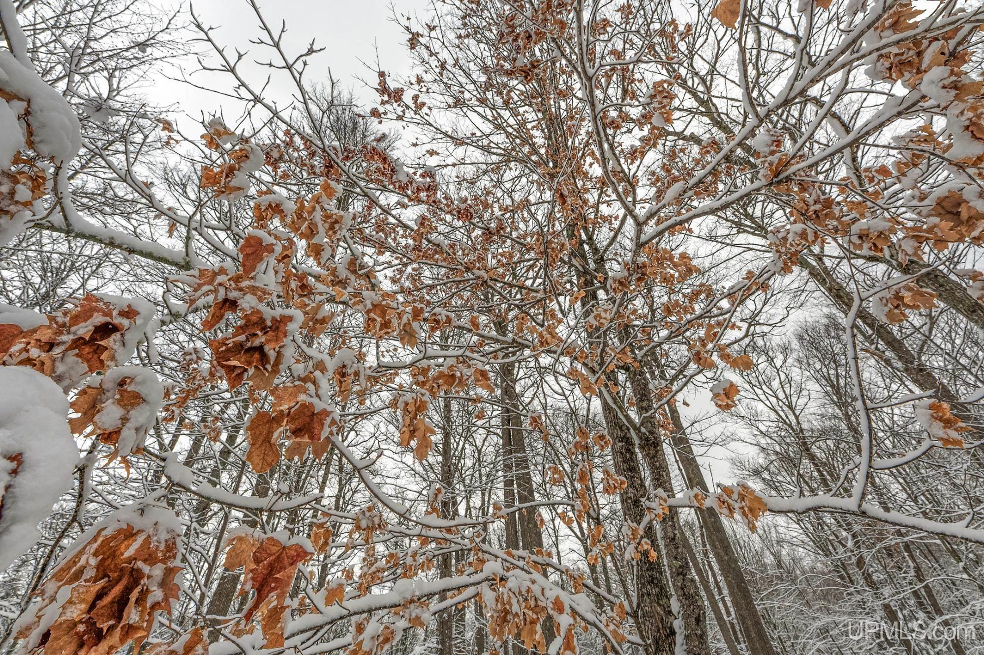 Homes for sale in Phelps, WI | On Eagles Nest Rd, Phelps, WI 54554 | MLS# 50197390