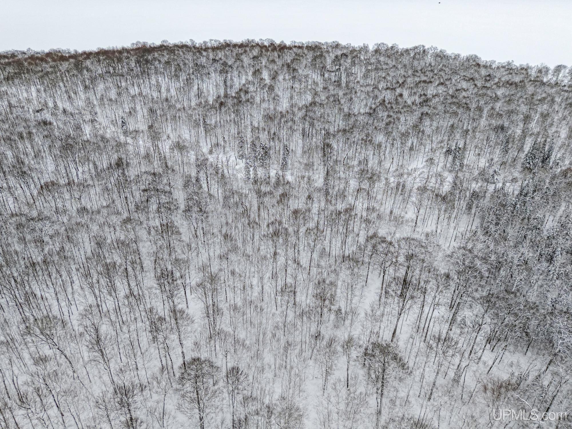 Homes for sale in Phelps, WI | On Eagles Nest Rd, Phelps, WI 54554 | MLS# 50197390