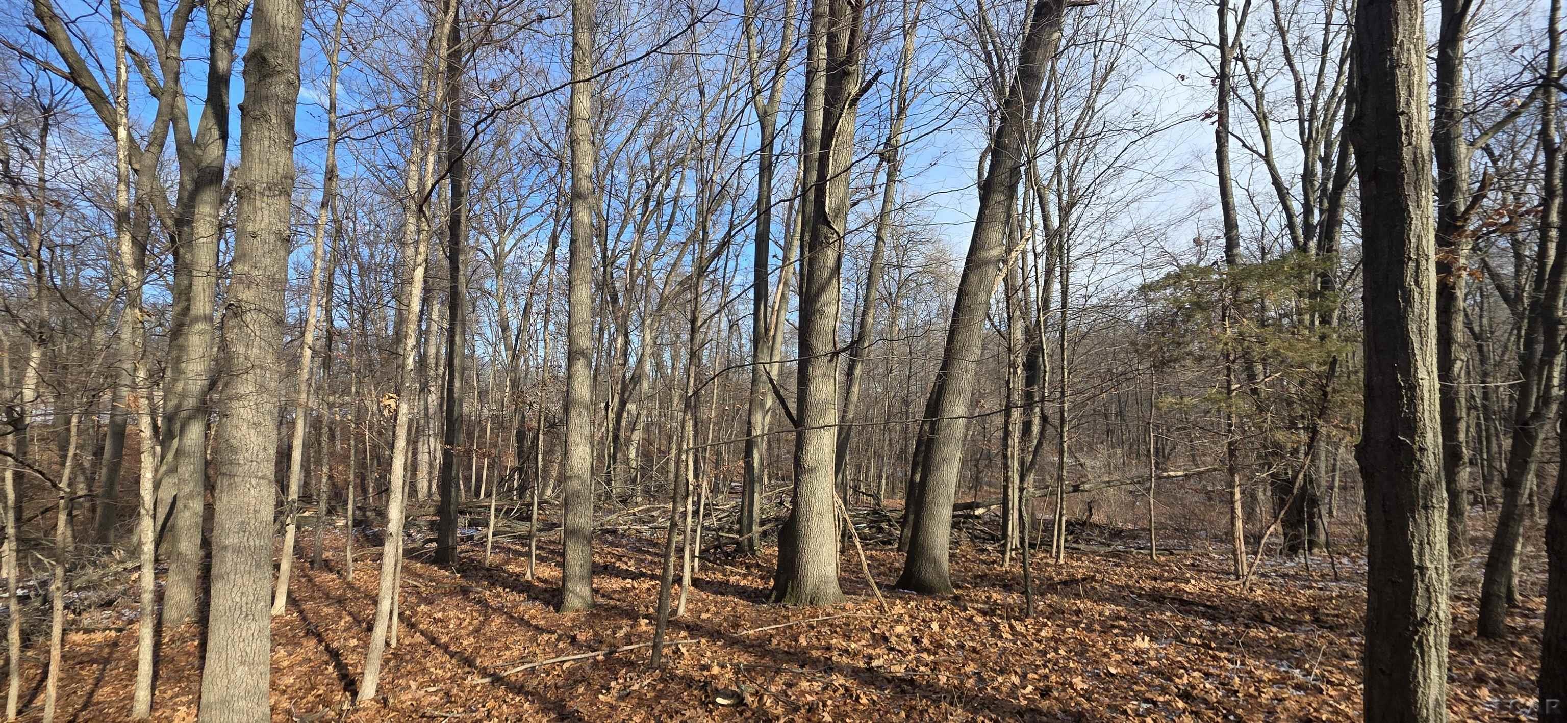 Homes for sale in Onsted, MI | 10000 Blk Sheeler Rd, Onsted, MI 49265 | MLS# 50197436