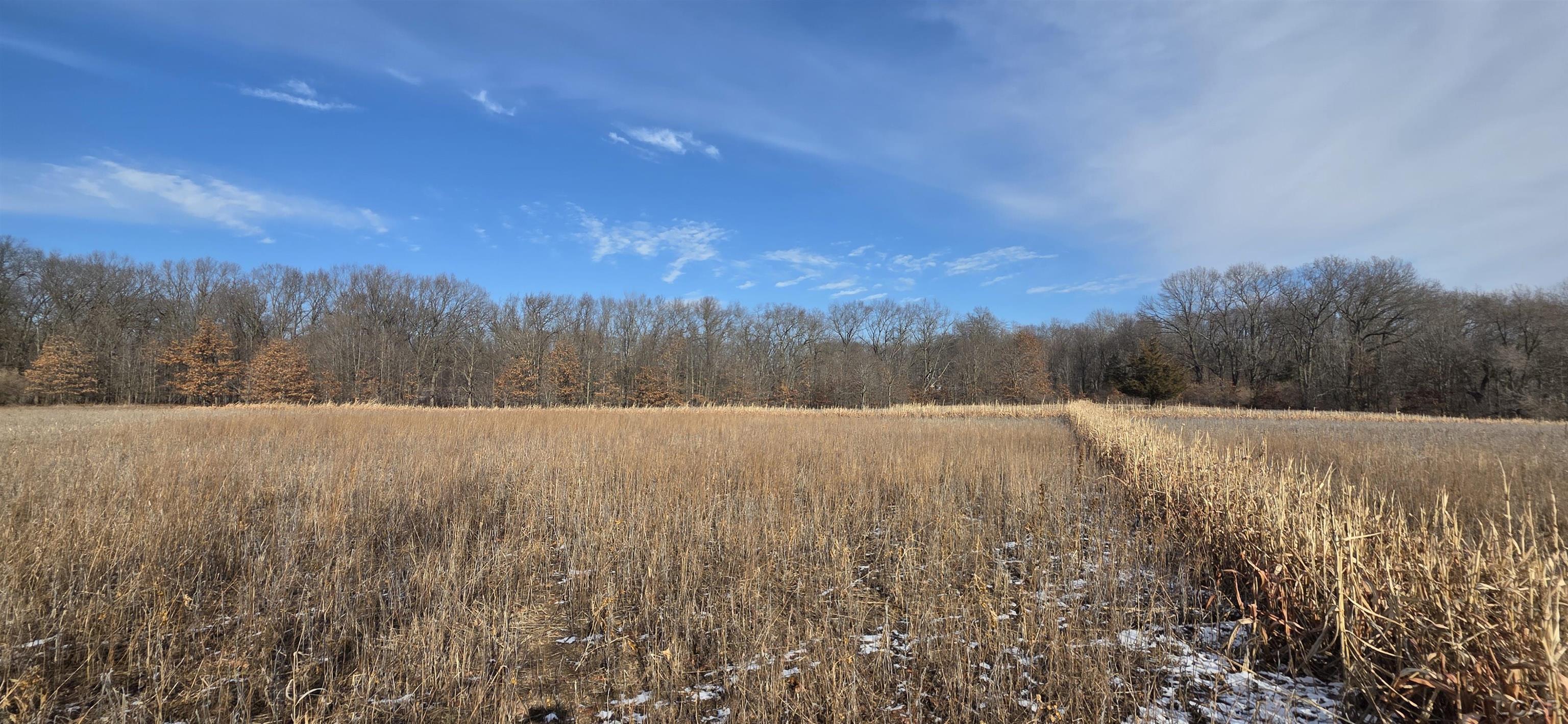 Homes for sale in Onsted, MI | 10000 Blk Sheeler Rd, Onsted, MI 49265 | MLS# 50197436