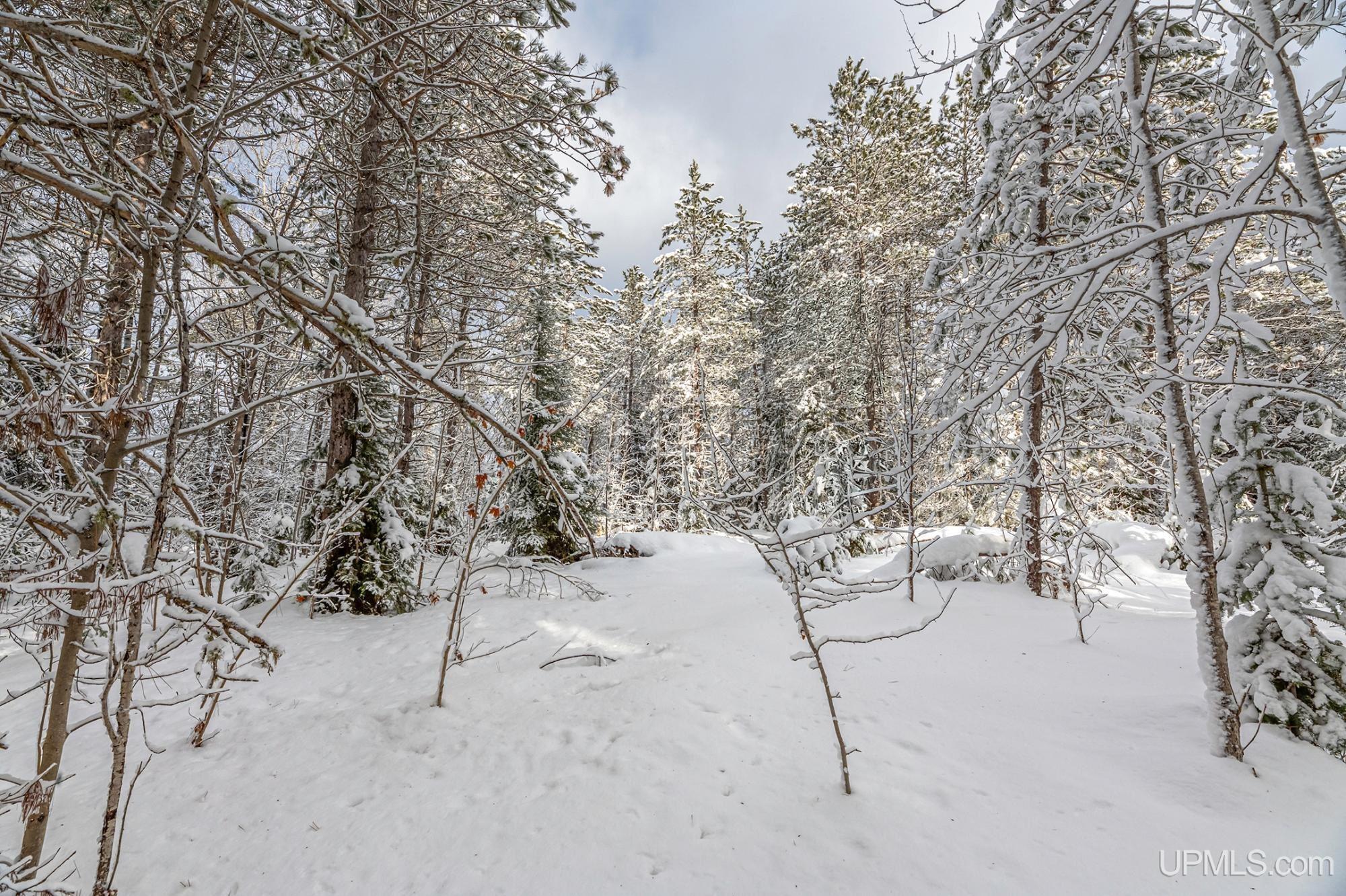 Homes for sale in Watersmeet, MI | On E Old Us 2 Hwy, Watersmeet, MI 49969 | MLS# 50197445