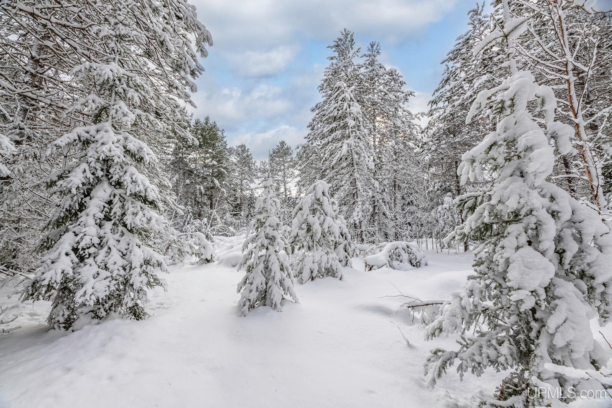 Homes for sale in Watersmeet, MI | On E Old Us 2 Hwy, Watersmeet, MI 49969 | MLS# 50197445