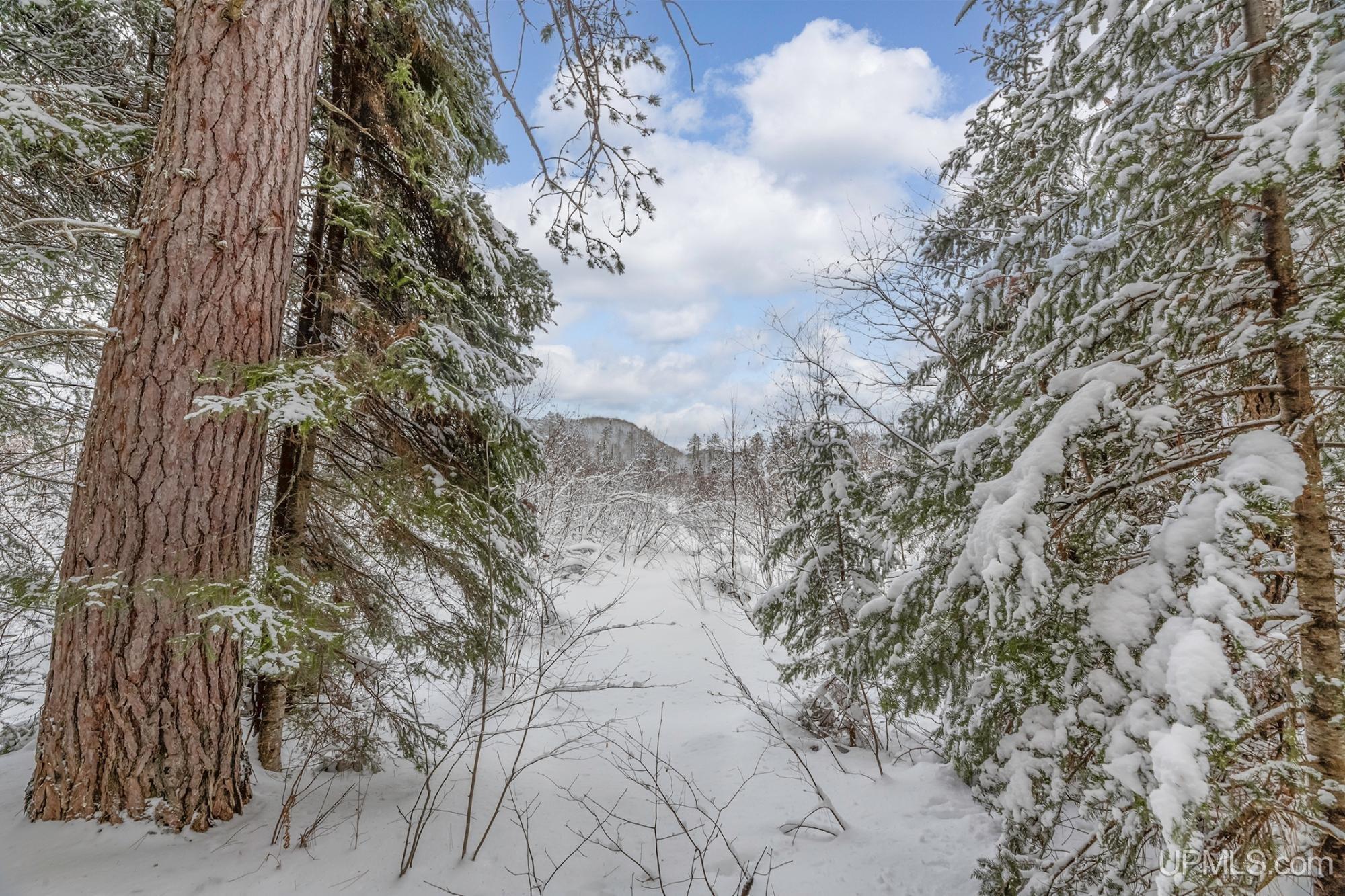 Homes for sale in Watersmeet, MI | On E Old Us 2 Hwy, Watersmeet, MI 49969 | MLS# 50197445