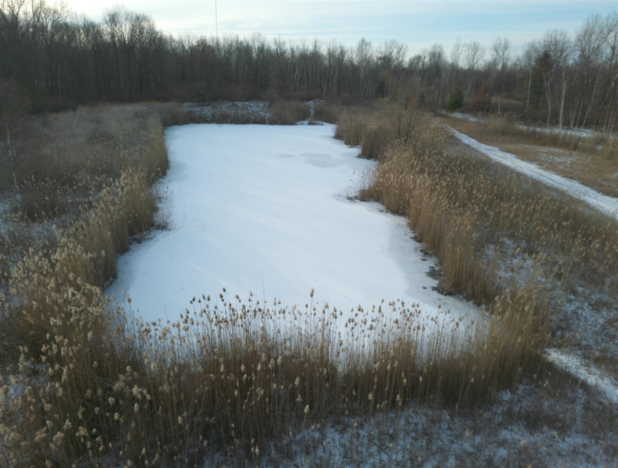 V/L Brace Road, Lakeport, MI, 48059