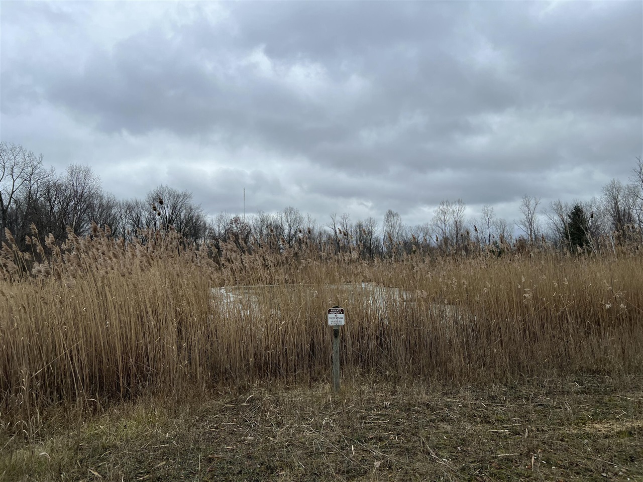 V/L Brace Road, Lakeport, MI, 48059