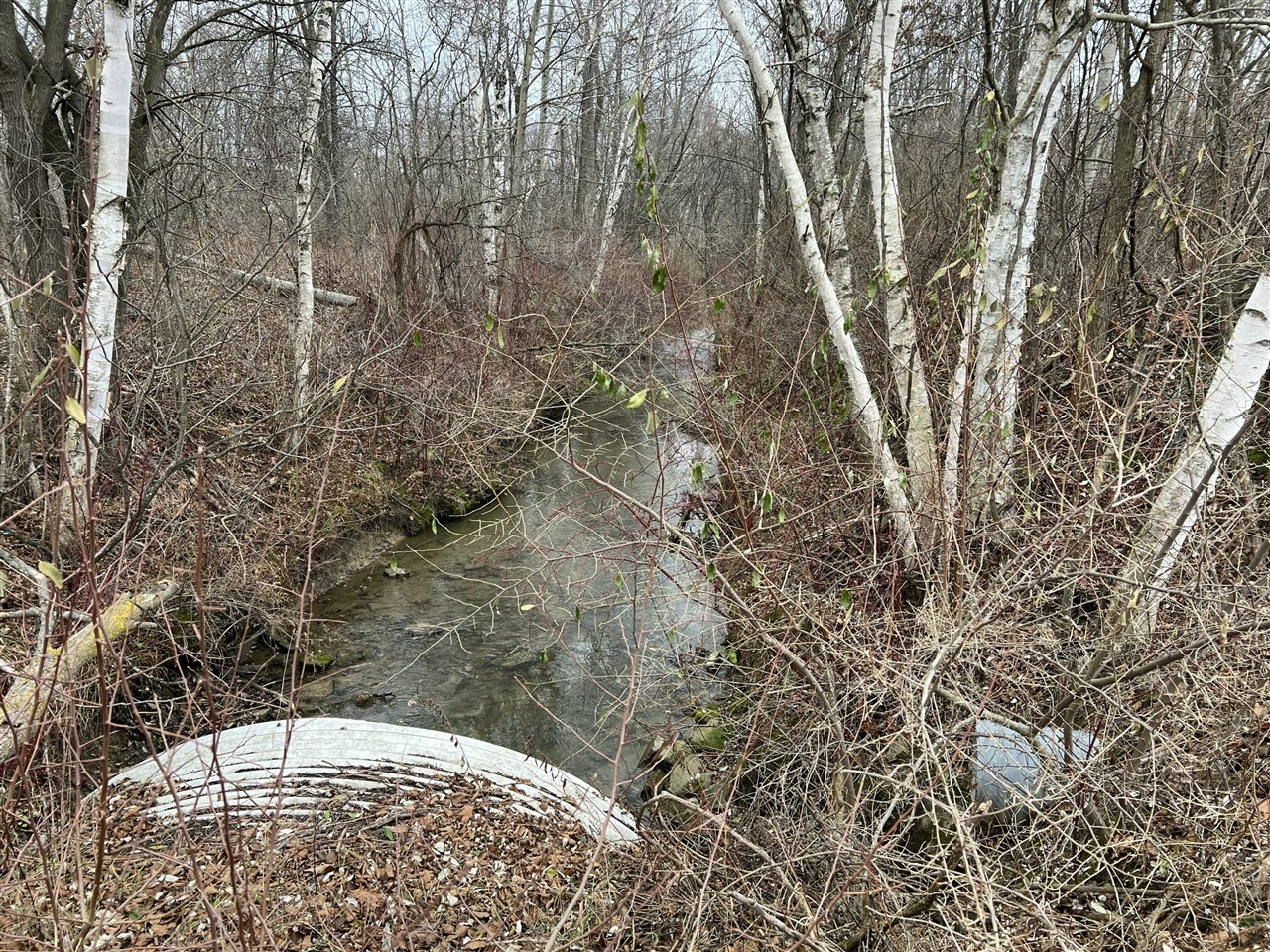 V/L Brace Road, Lakeport, MI, 48059