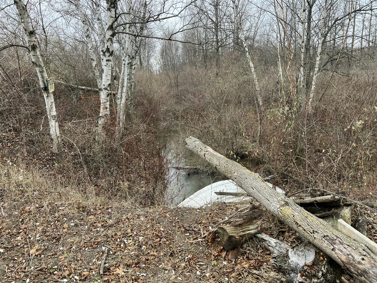 V/L Brace Road, Lakeport, MI, 48059