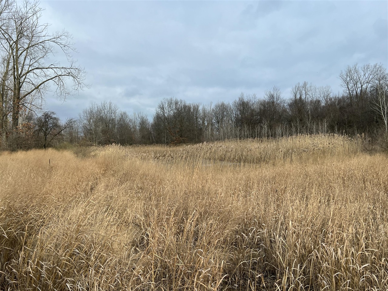 V/L Brace Road, Lakeport, MI, 48059