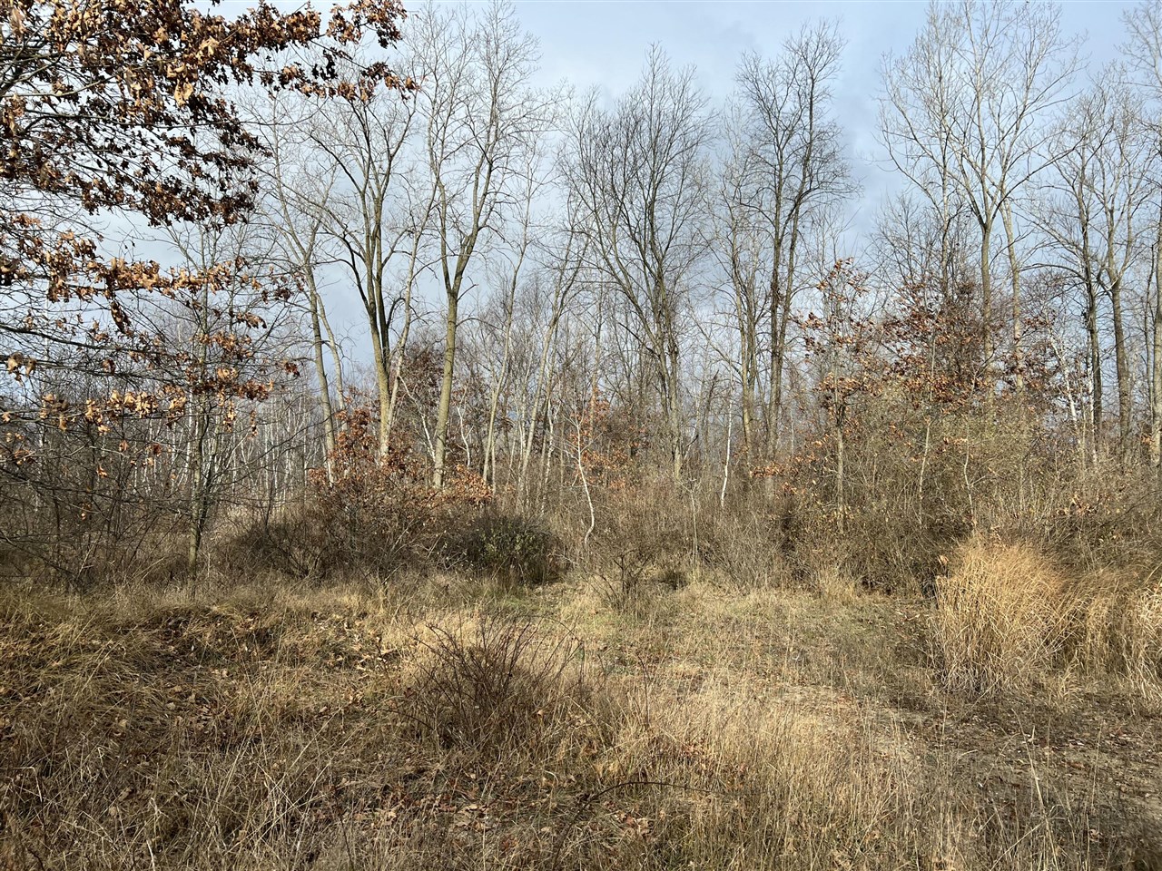 V/L Brace Road, Lakeport, MI, 48059