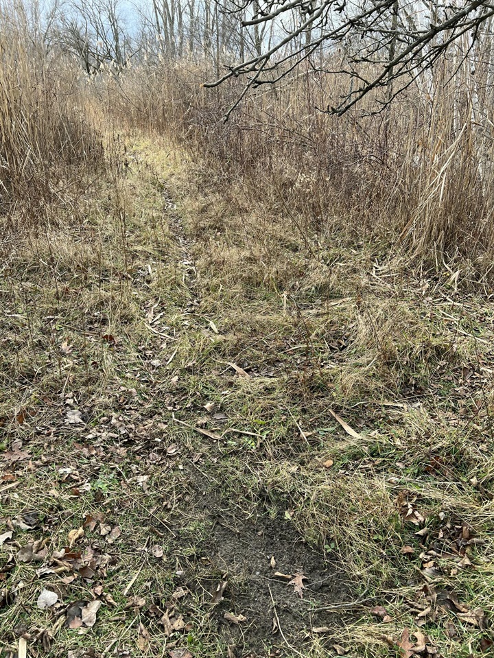 V/L Brace Road, Lakeport, MI, 48059