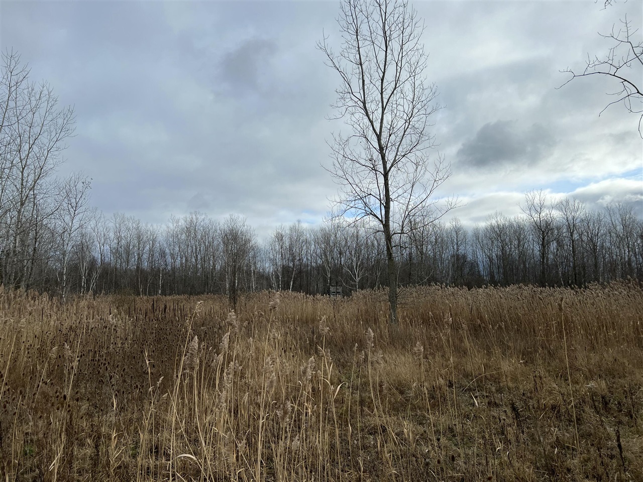 V/L Brace Road, Lakeport, MI, 48059