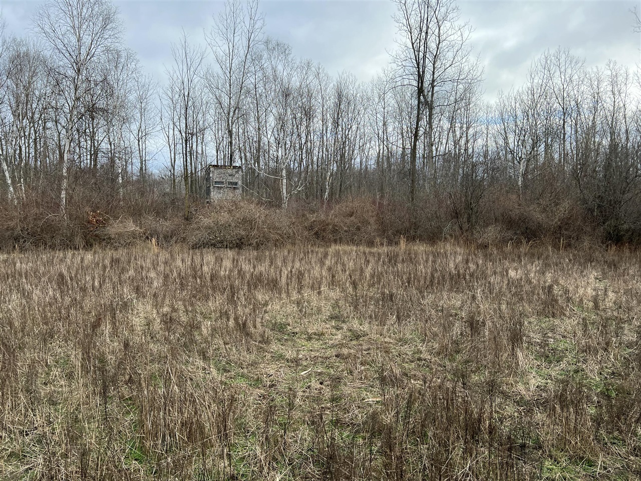 V/L Brace Road, Lakeport, MI, 48059