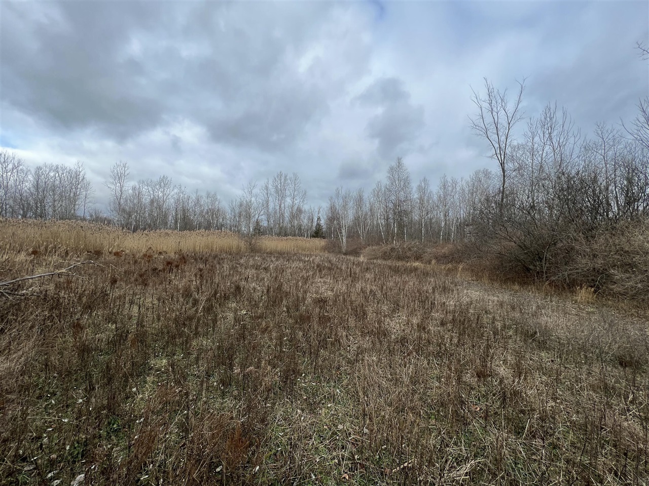 V/L Brace Road, Lakeport, MI, 48059