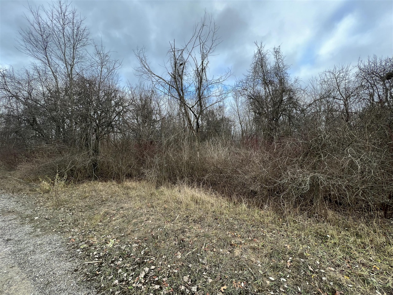 V/L Brace Road, Lakeport, MI, 48059