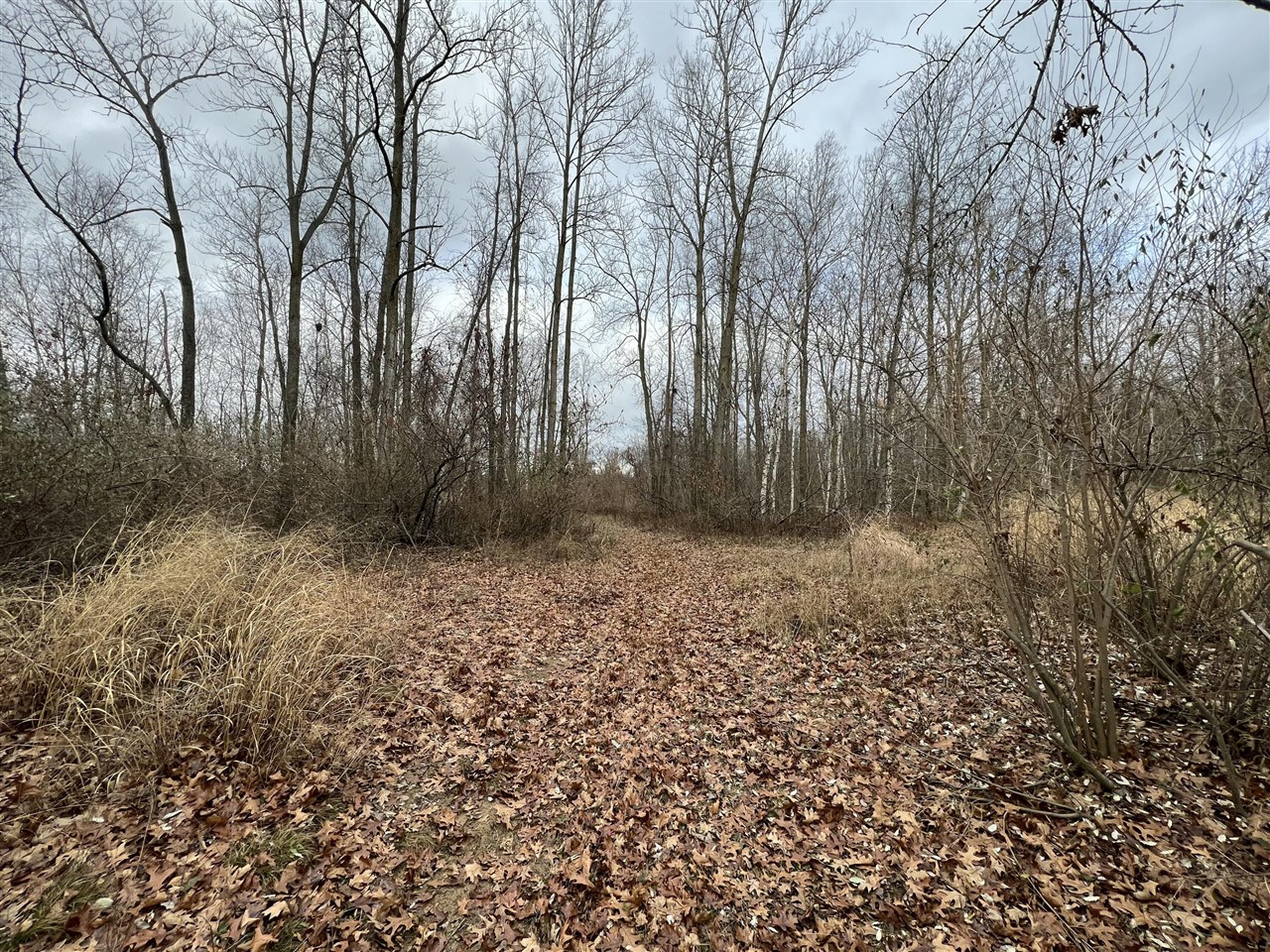 V/L Brace Road, Lakeport, MI, 48059