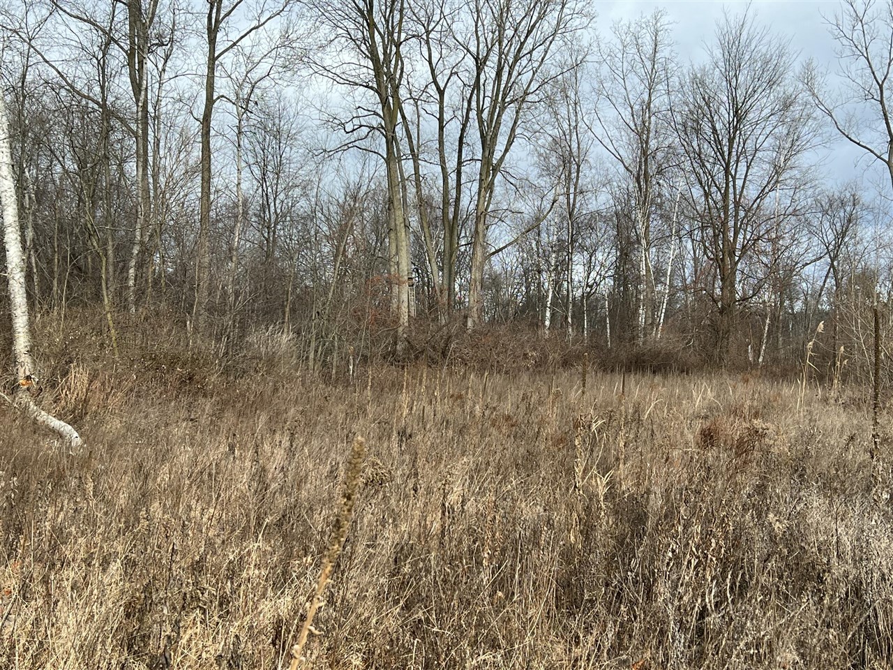 V/L Brace Road, Lakeport, MI, 48059