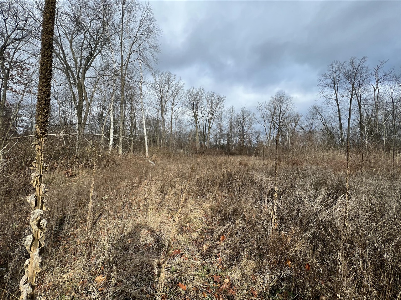 V/L Brace Road, Lakeport, MI, 48059