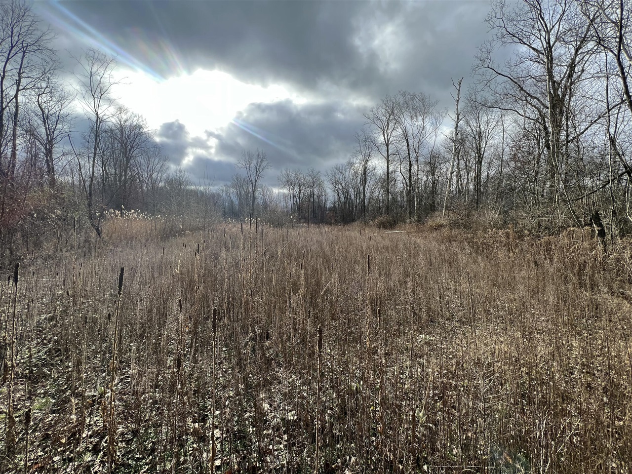 V/L Brace Road, Lakeport, MI, 48059