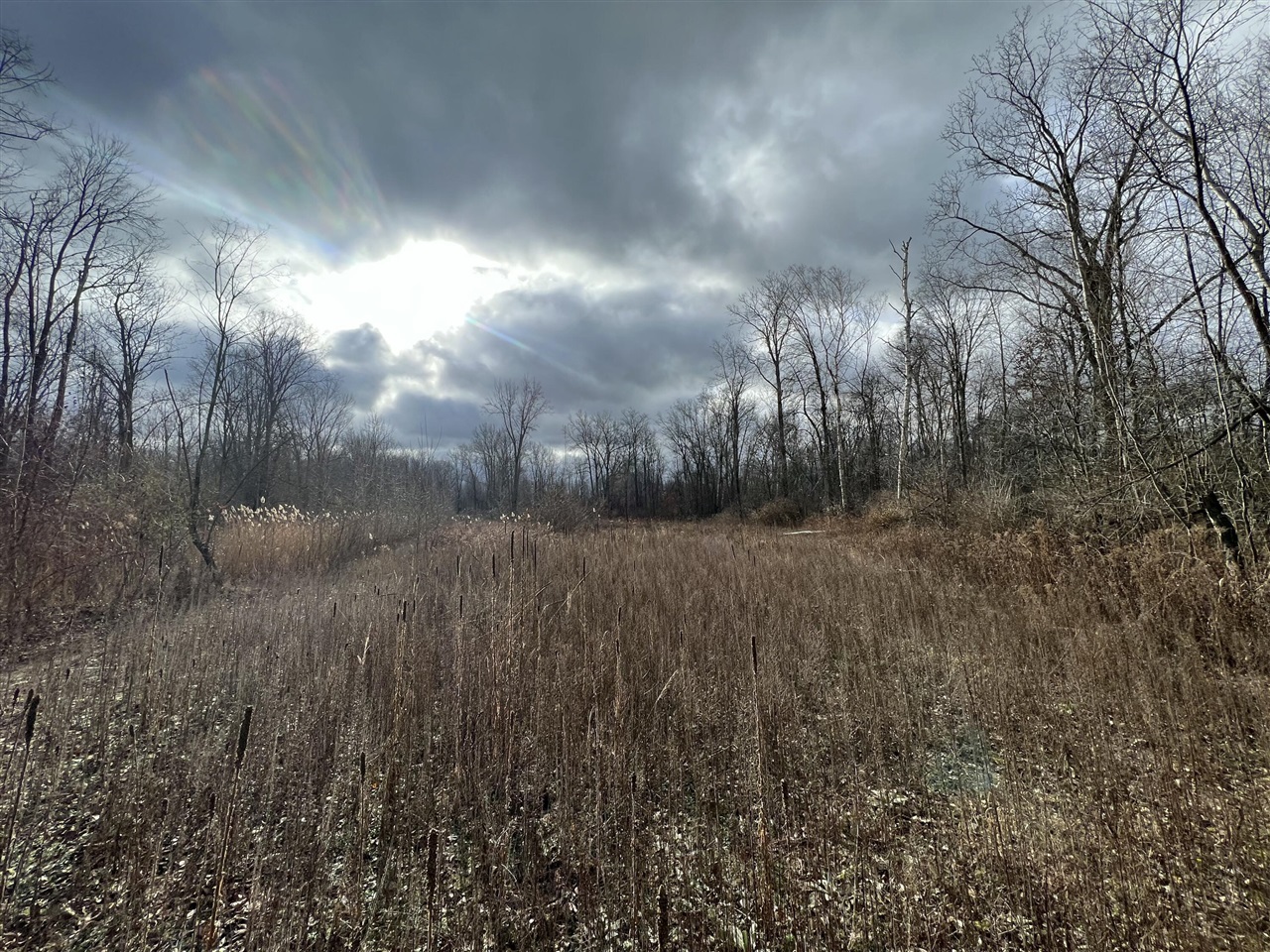 V/L Brace Road, Lakeport, MI, 48059