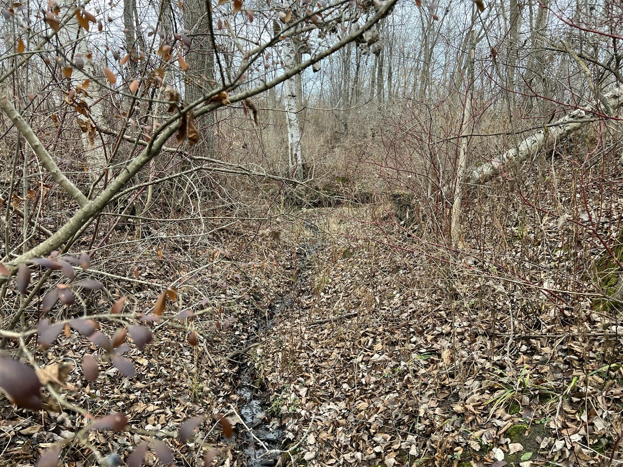 V/L Brace Road, Lakeport, MI, 48059