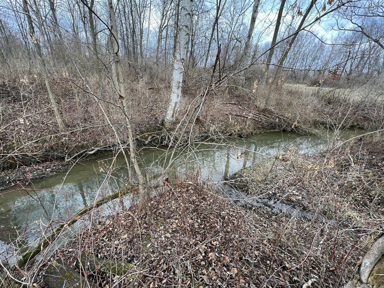 V/L Brace Road, Lakeport, MI, 48059