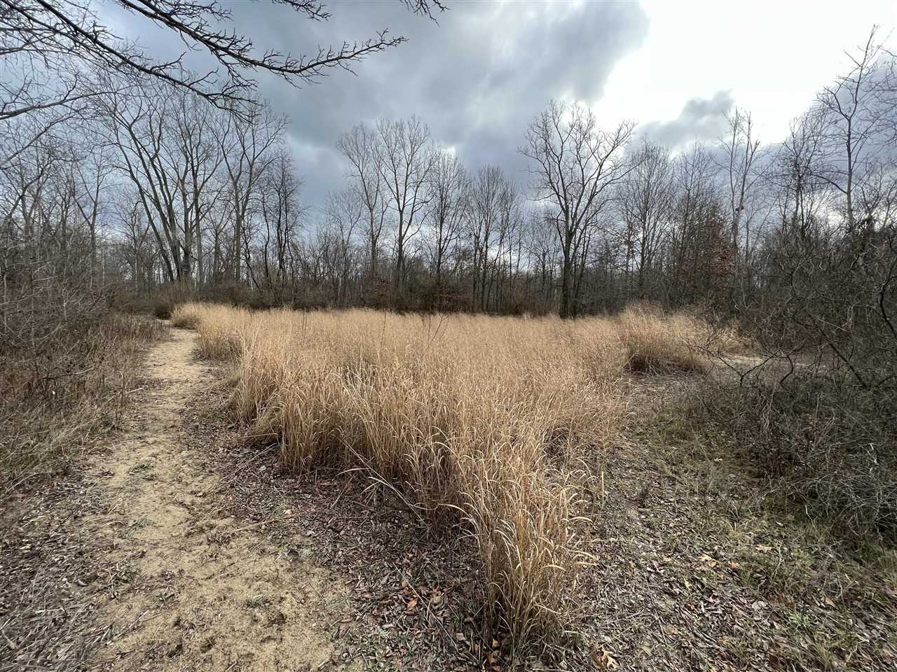 V/L Brace Road, Lakeport, MI, 48059