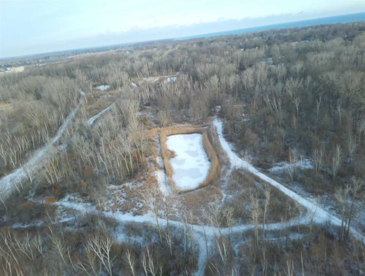 V/L Brace Road, Lakeport, MI, 48059