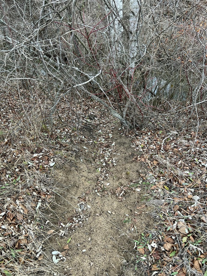 V/L Brace Road, Lakeport, MI, 48059