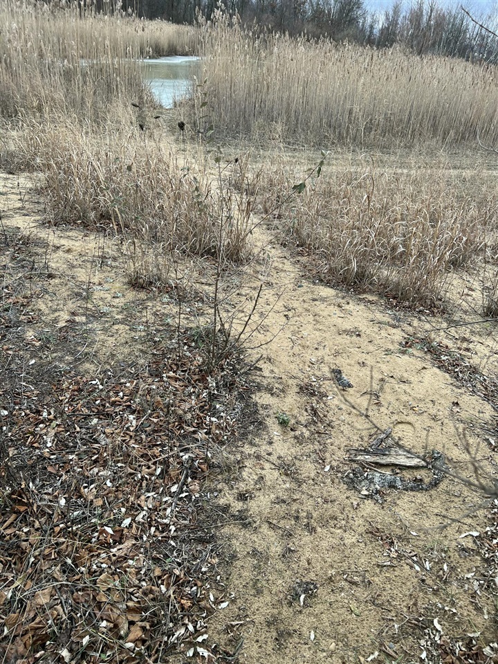 V/L Brace Road, Lakeport, MI, 48059