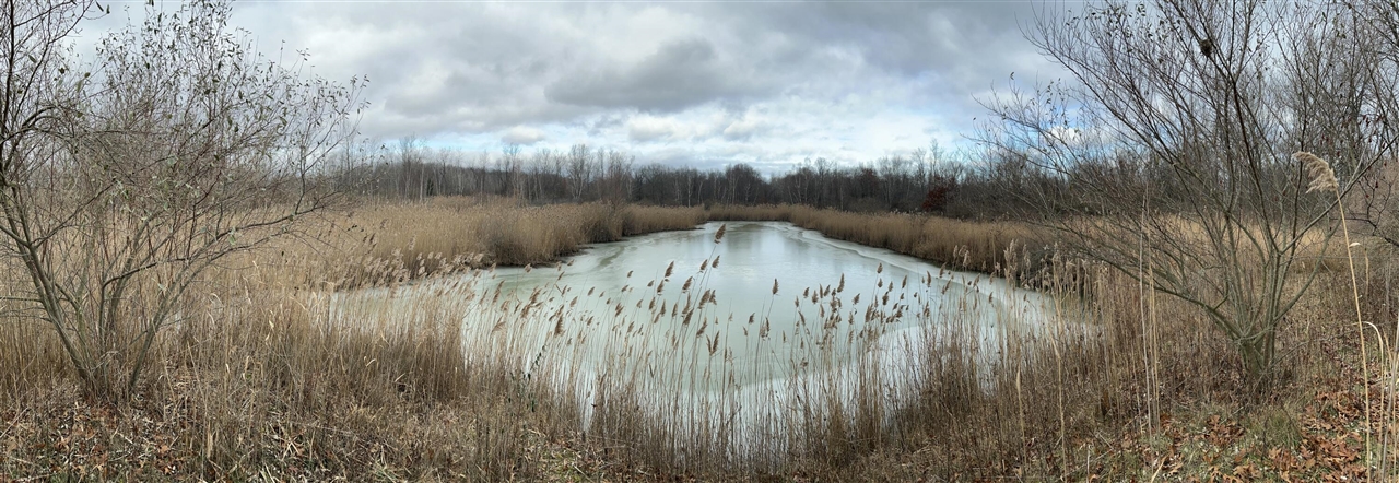 V/L Brace Road, Lakeport, MI, 48059