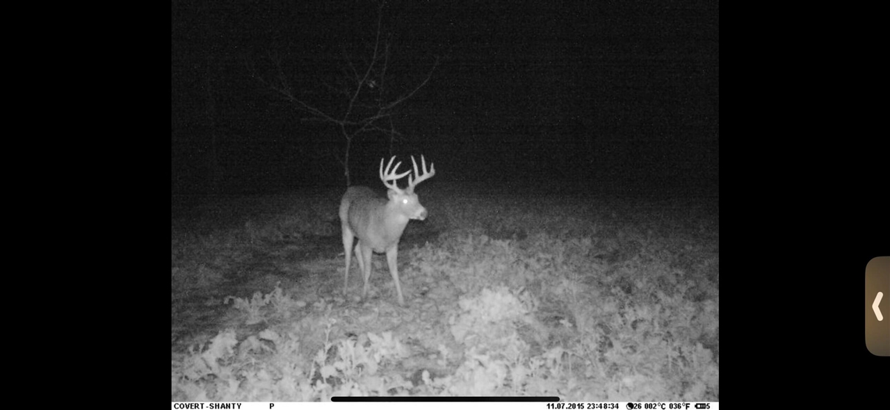 V/L Brace Road, Lakeport, MI, 48059