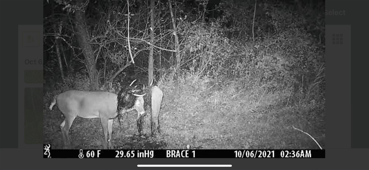 V/L Brace Road, Lakeport, MI, 48059