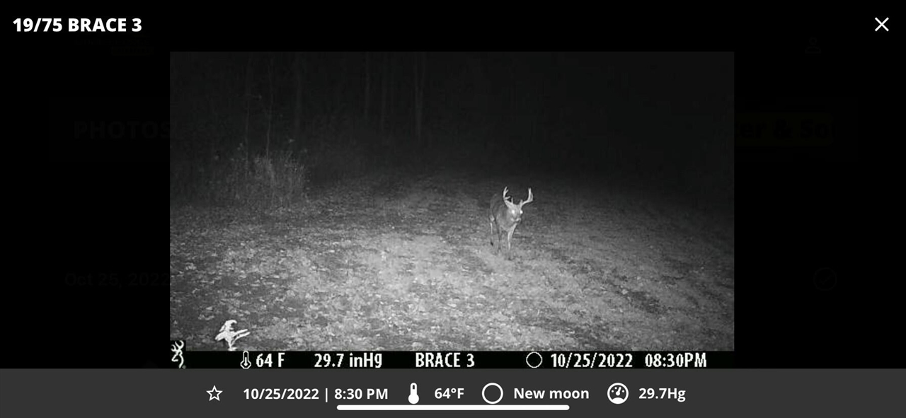 V/L Brace Road, Lakeport, MI, 48059