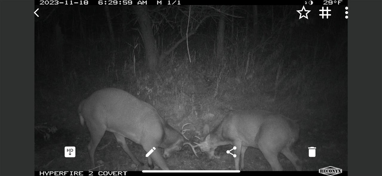 V/L Brace Road, Lakeport, MI, 48059