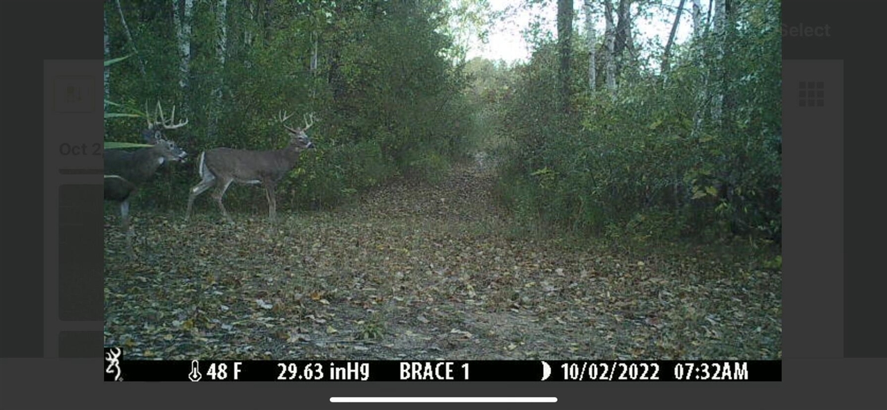 V/L Brace Road, Lakeport, MI, 48059