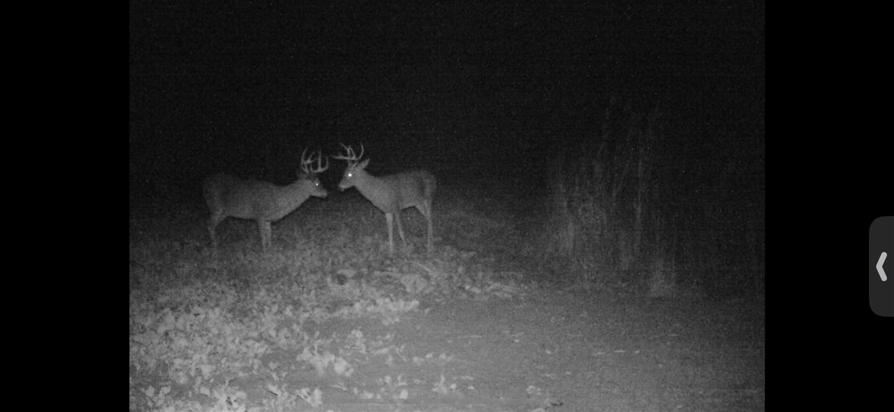 V/L Brace Road, Lakeport, MI, 48059