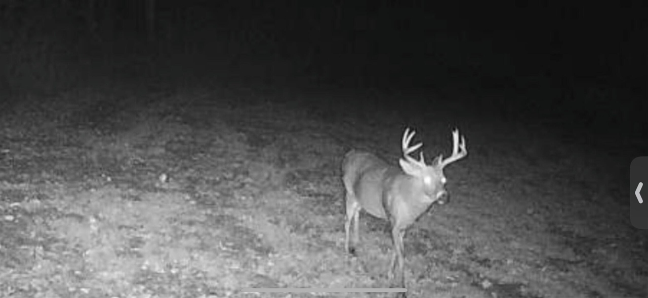 V/L Brace Road, Lakeport, MI, 48059